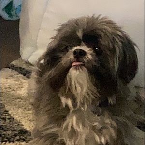 Meet your Posher, Cameron